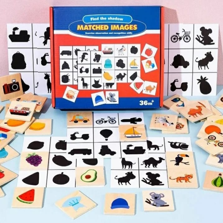 Kids Educational Matched Images Toy