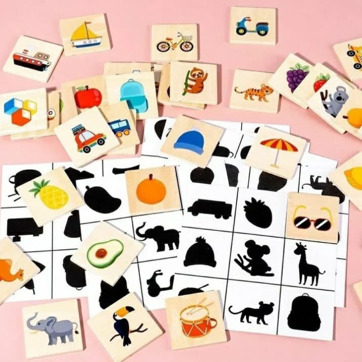 Kids Educational Matched Images Toy