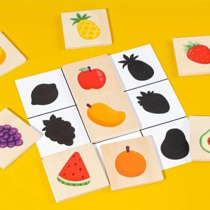 Kids Educational Matched Images Toy
