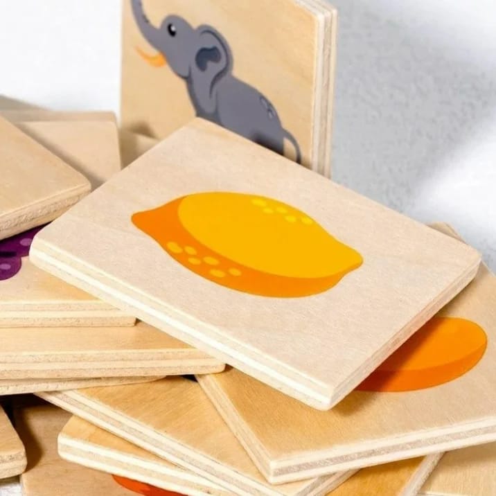 Kids Educational Matched Images Toy