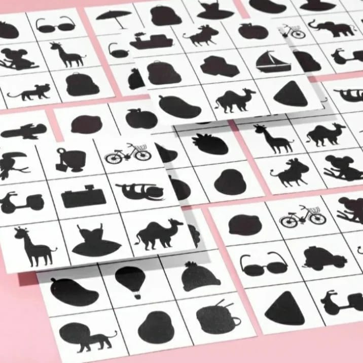 Kids Educational Matched Images Toy