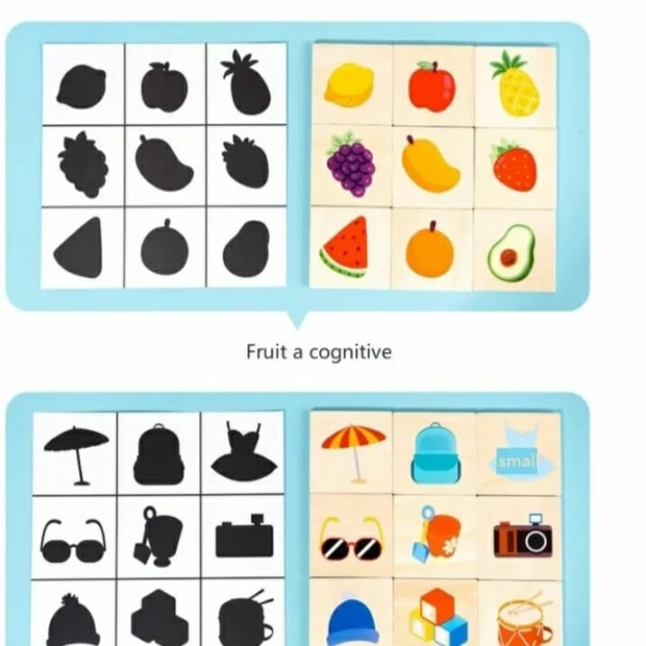 Kids Educational Matched Images Toy