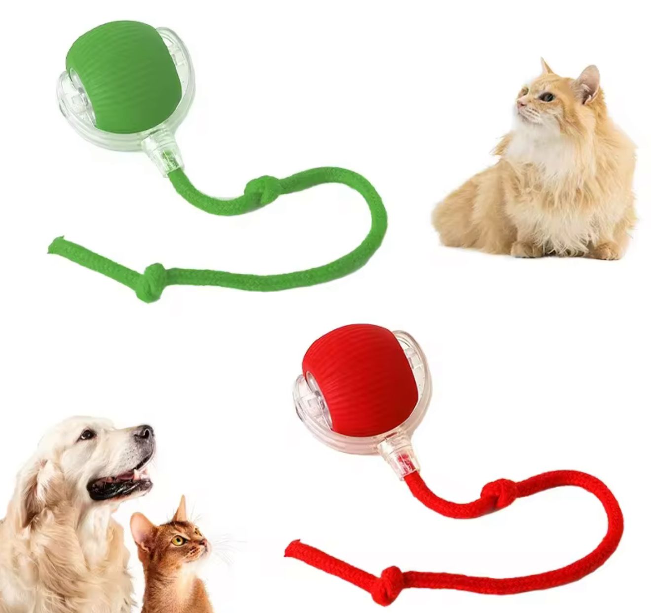 Interactive Rolling Ball