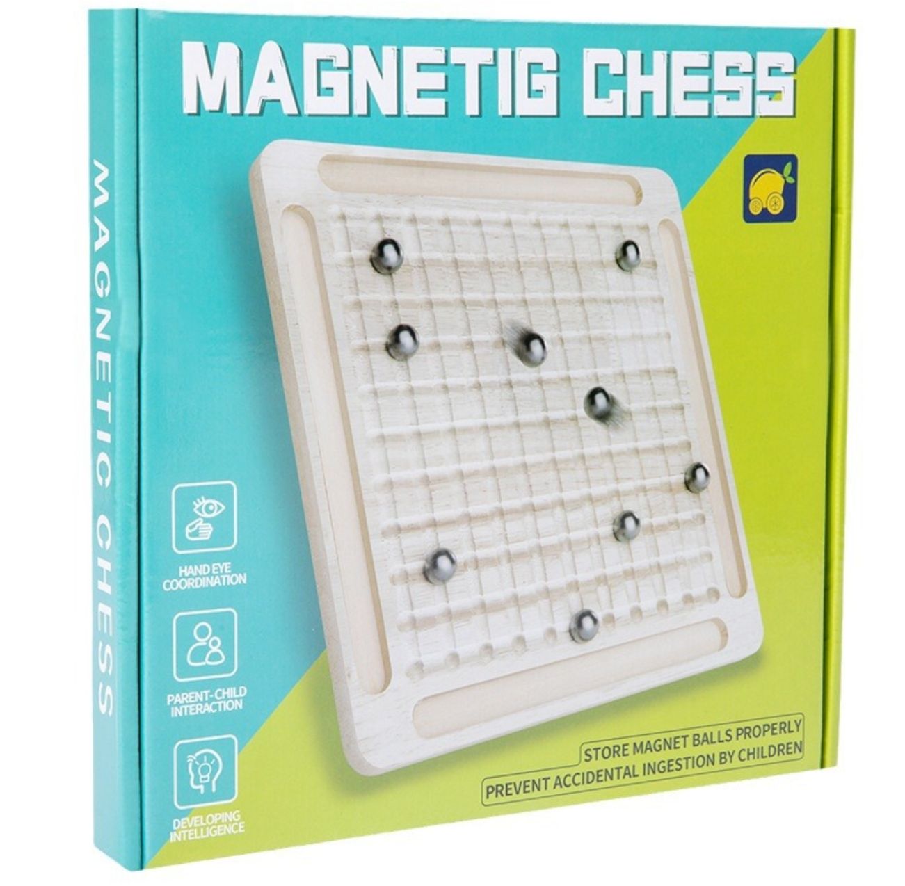 Magnetic Chess Game