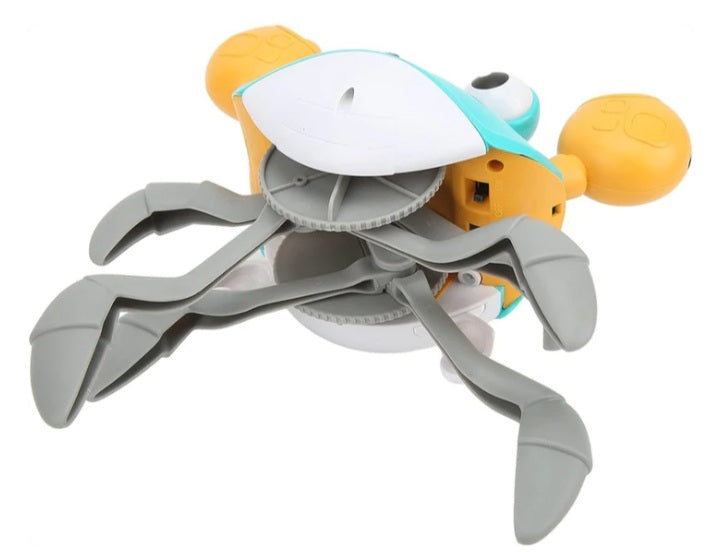 Crawling Crab Toy