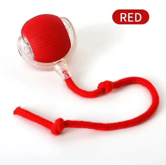 Interactive Rolling Ball