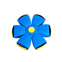 Flying disk ball