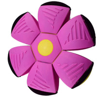Flying disk ball